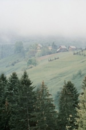 Póster oficial de la película I See You, Bukovina