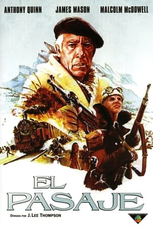 Poster El pasaje 1979