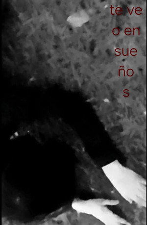 I See You in Dreams