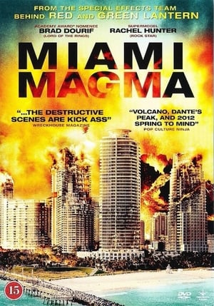 Poster Miami Magma 2011