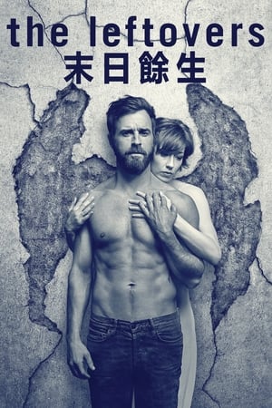Poster 守望尘世 2014