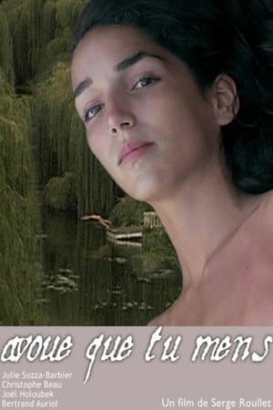 Poster Avoue que tu mens (2008)