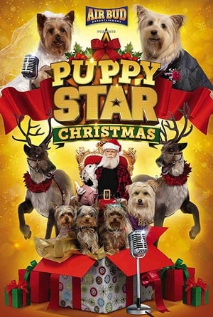 Puppy Star Christmas 2018