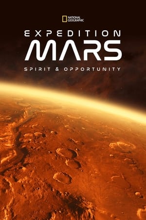 Poster 火星探测器历险 2016