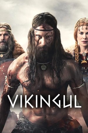 Image Vikingul
