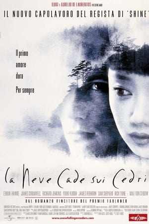 La neve cade sui cedri (1999)