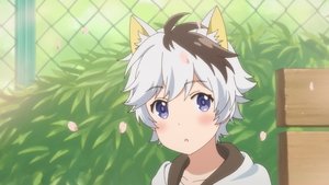 Uchitama?! Have You Seen My Tama? ( 2020 )