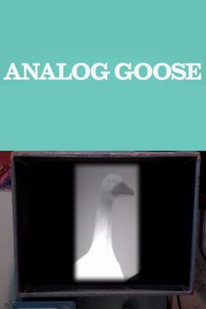 Poster Analog Goose (2013)