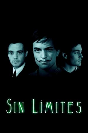 Poster Sin límites 2008