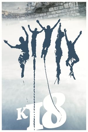 Poster Almost 18 (2012)