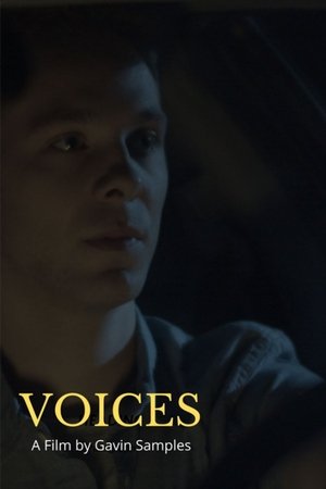 Poster Voices (2020)