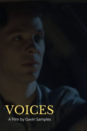Poster Voices 2020