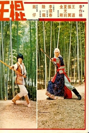 Image Los bastones invencibles de Shaolin