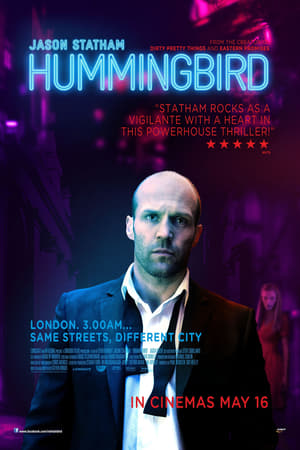 Click for trailer, plot details and rating of Hummingbird (2013)