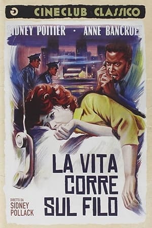 La vita corre sul filo 1965