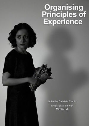 Organising Principles of Experience