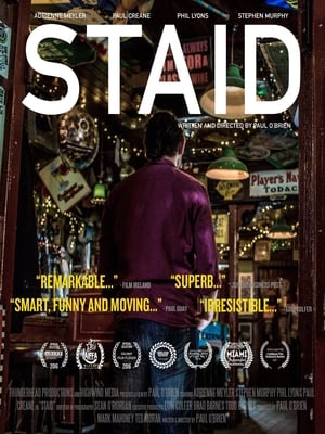 Poster Staid 2016