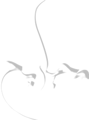 مجاريح — Logos 1
