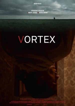 Poster Vortex 2019