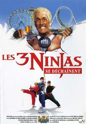 Poster Ninja Kids 4 : Les 3 Ninjas se déchaînent 1998