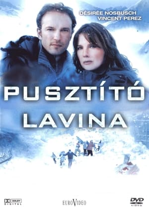 Poster Pusztító lavina 2008