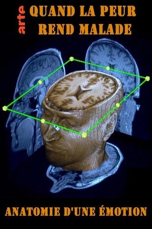 Poster Quand la peur rend malade - Anatomie d'une émotion (2018)