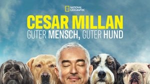 poster Cesar Millan: Better Human, Better Dog