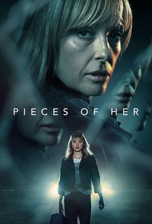 Pieces of Her Poster