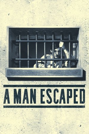 A Man Escaped cover