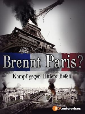 Brennt Paris? - Kampf gegen Hitlers Befehl (2012)