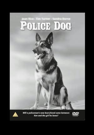 Poster Полицейско куче 1955
