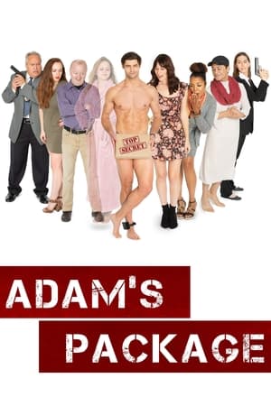 Poster Adam's Package (2019)