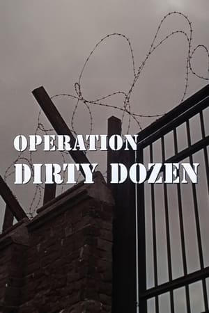 Poster Operation Dirty Dozen 2006
