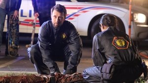 Ver Bones 11×10 Temporada 11 Capitulo 10 Español Latino