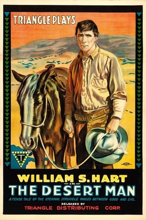 The Desert Man poster