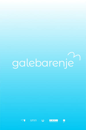 Image Galebarenje