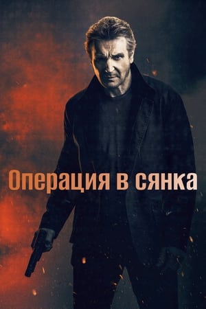 Операция в сянка (2022)