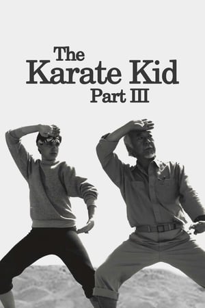  The Karate kid 3 - Le Moment De Vérité III - 1989 
