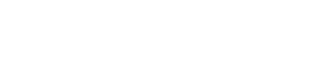 Nous, la Vague
