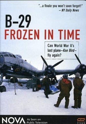 Poster B-29 Frozen in Time 1996