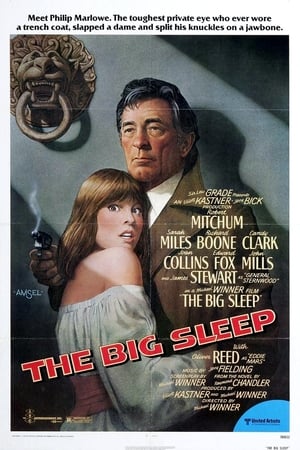 The Big Sleep 1978 1080p BRRip H264 AAC-RBG