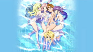 series image