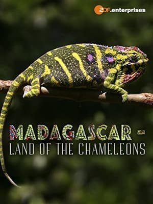 Image Madagascar: Land of the Chameleons