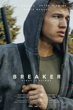 Breaker Breaker