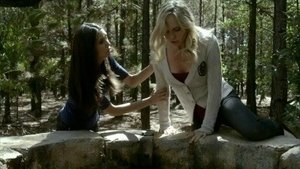 The Vampire Diaries: 2×6