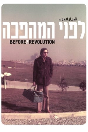 Poster לפני המהפכה 2013