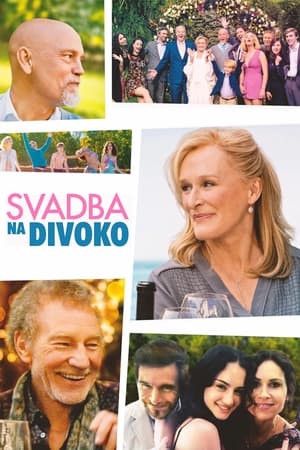 Poster Svadba na divoko 2017