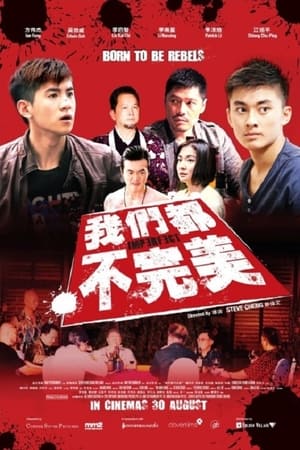 Poster 我们都不完美 2012