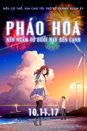 Image Pháo Hoa, Nên Ngắm Từ Dưới Hay Bên Cạnh?