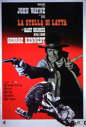 Poster La stella di latta 1973